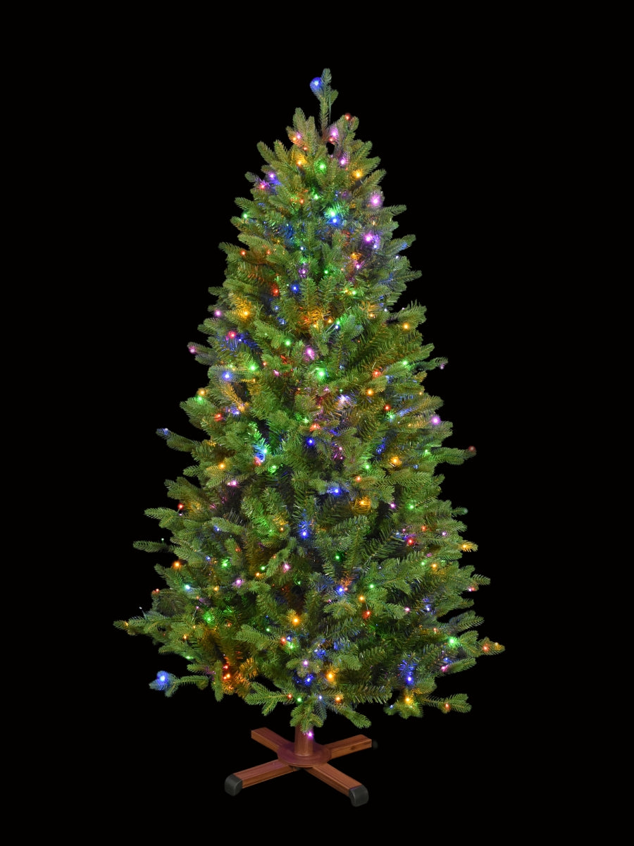 Balsam Fir 5'